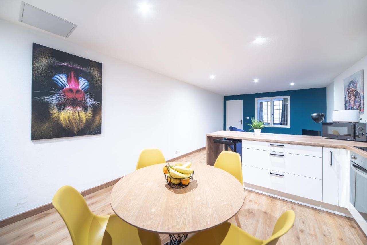 Appartement Pop Au Coeur Du Centre Ville Mâcon 외부 사진